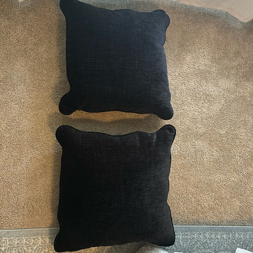 2’ x 2’ black throw pillows
